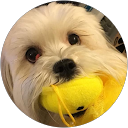 Jude M. profile picture